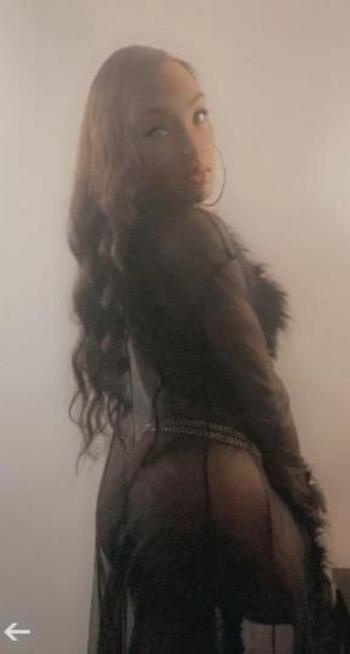 7868024254, transgender escort, Orlando